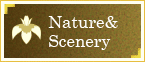 Nature&Scenery