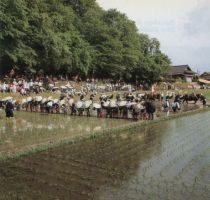 Hayashida is performed in reverence for the god of rice fields (Photograph taken circa 1994)