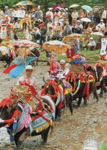 Hanadaue takes its origin either from asking for a rich  harvest or from entertaining farmers (Photograph taken circa 1994)