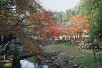 Buttsuji Temple is located in unity with the surrounding natural environment (Photograph taken circa 1994)