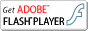 Adobe Flash Playerꤹ