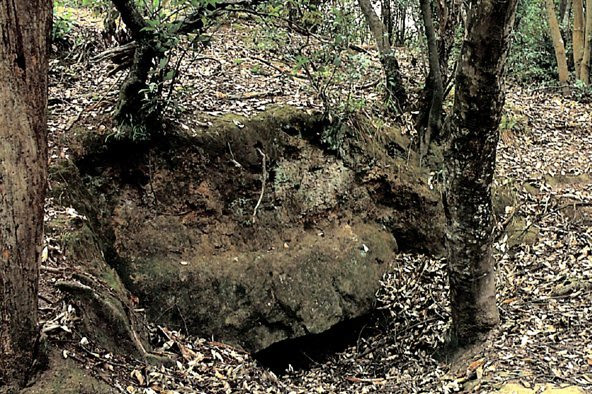ひろしま文化大百科 二子塚古墳