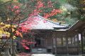 Imakoyasan (Shingon Buddhist center)