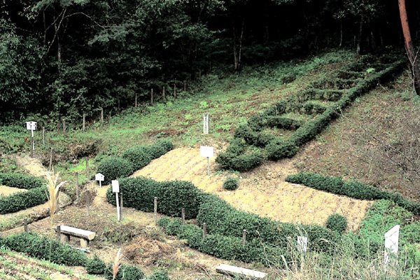 ひろしま文化大百科 - 姫谷焼窯跡