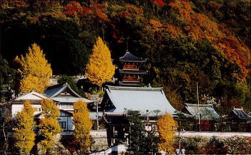 ２０００晩秋の松寿寺