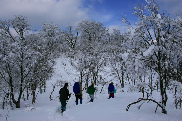 雪の山頂尾根