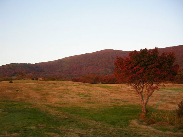 国民休暇村付近の池の原から吾妻山の紅葉を望む